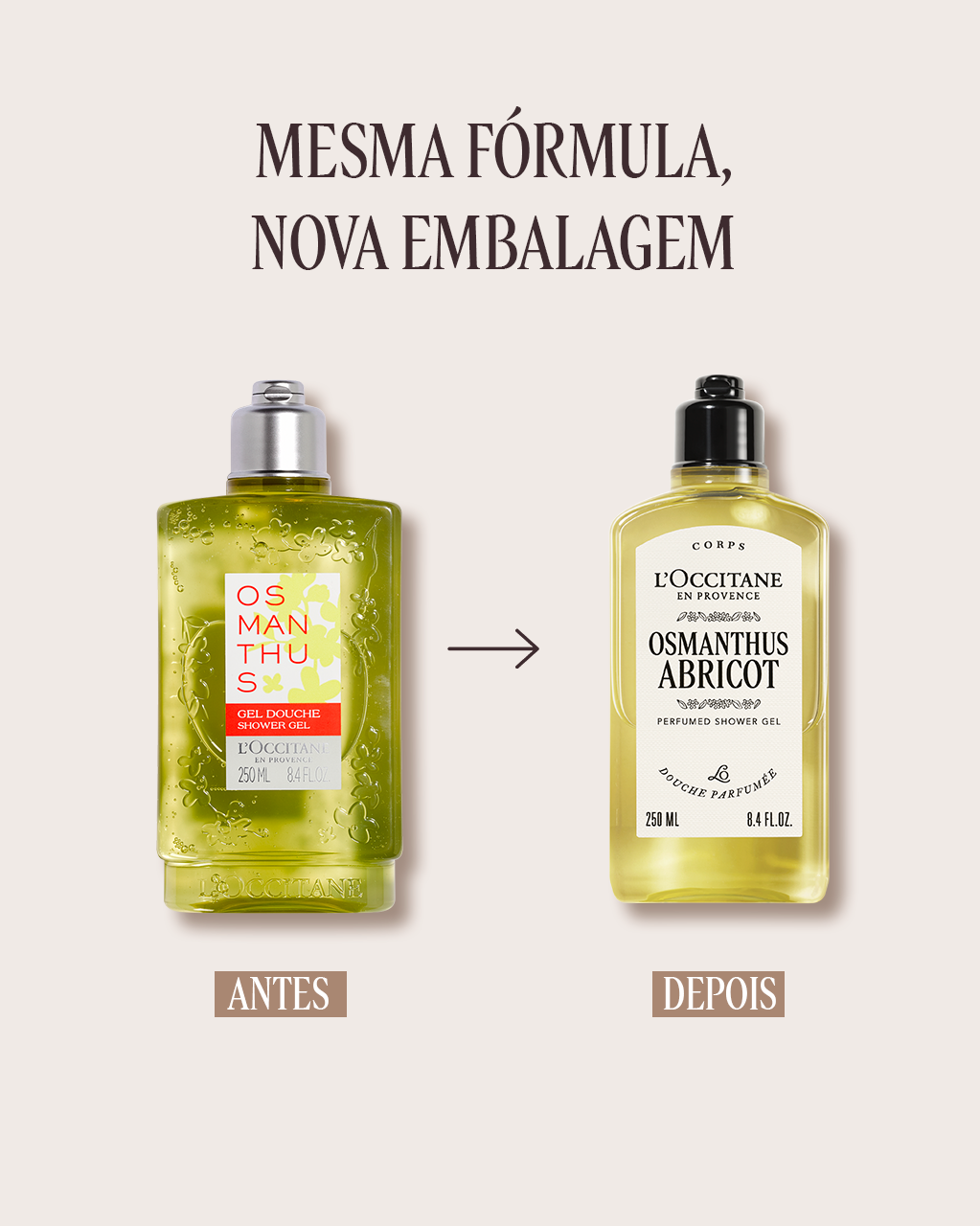 Sabonete Líquido Corporal Perfumado Osmanthus Abricot 250mL | L